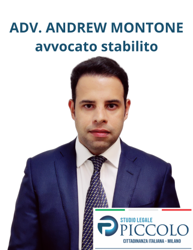 avvocato stabilito